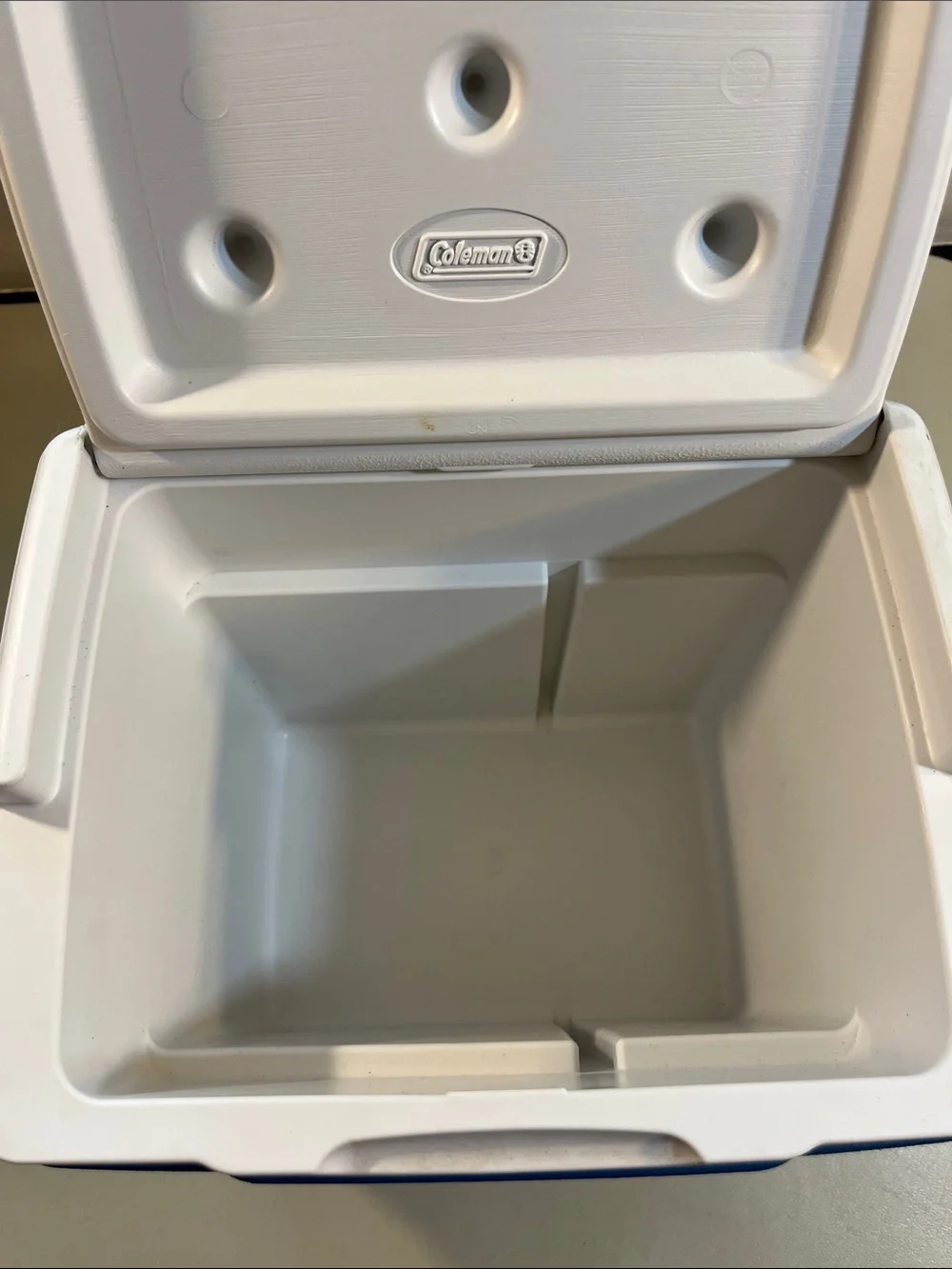 Coleman Blue and White Personal Chiller Cooler